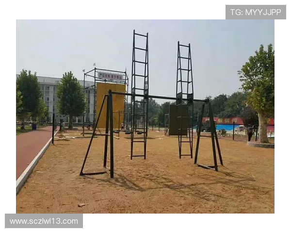 北京足球队在钻石联赛中的战术解析与表现评估