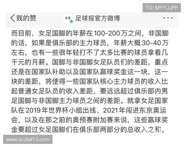 足球明星薪资发放机制揭秘及其背后的经济影响分析
