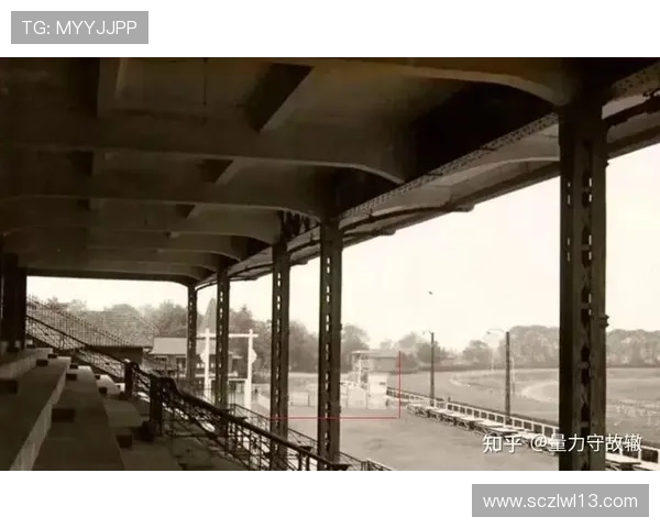 南京网球队逆袭之路：从困境到辉煌的全景解读