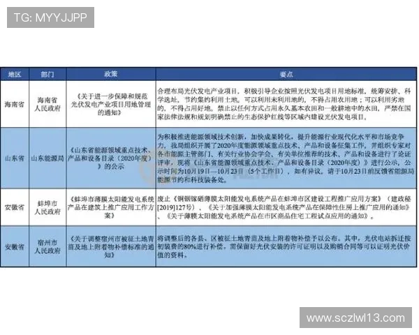 武汉排球队在杯赛中的技术表现分析与未来发展展望